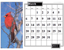 Monthly Calendar Print  on How To Use Our Free Printable Monthly Wall Calendar Templates