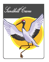 endangered Sandhill Crane greeting card