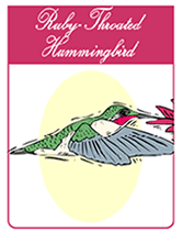 Red-Throated Hummingbird Free Printable  Greeting Cards
