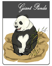 endangered Giant Panda greeting card