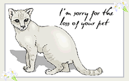 Free Printable White Cat Pet Sympathy Greeting Cards Template