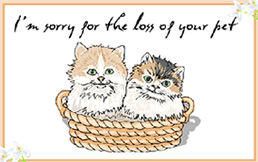 Free Printable Pet Kittens Sympathy  Greeting Cards Template