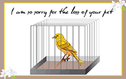 Free Printable Pet Bird Sympathy  Greeting Cards Template
