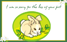 Free Printable Pet Rabbit Sympathy  Greeting Cards Template