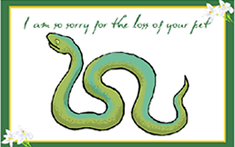 Free Printable Pet Snake Sympathy  Greeting Card