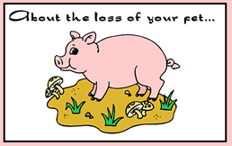 Free Printable Pet Pig Sympathy  Greeting Cards Template