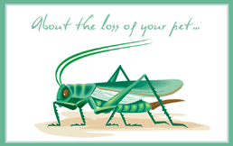 Free Printable Pet Sympathy Grasshopper Greeting Cards Template