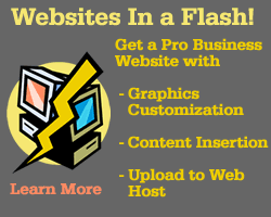 professional web designer