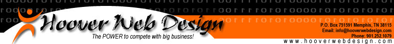 professional web design newsletter