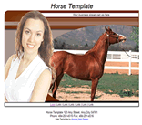 horses web templates