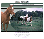 horse web template