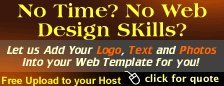 Custom Web Template Quote
