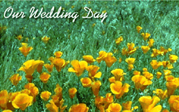Free "Yellow Flowers" Wedding Invitation Template