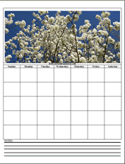bradford pear tree printable calendar