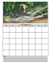 tiger calendar templates