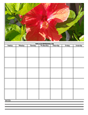 hisbis flower calendar templates