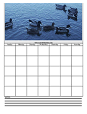ducks calendar templates