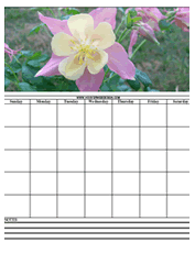 pink flowers calendar templates