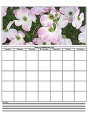 pretty dogwood flowers printable calendar