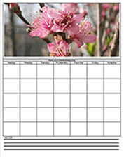 crepe myrtle printable calendar