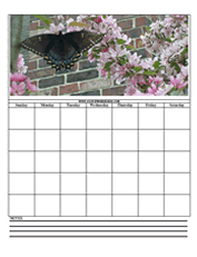 black butterfly printable calendar
