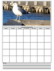 bird on dock calendar templates