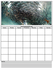 school of fish calendar templates