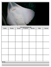 manta ray calendar templates