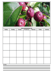 crab apple printable calendar templates
