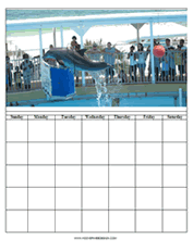 jumping dolphin printable calendar