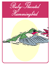 endangered hummingbird greeting card