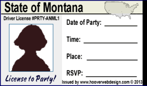 female drivers license party invitations