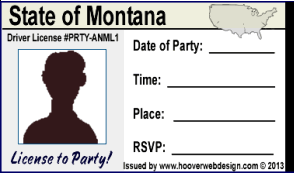 male drivers license party invitations