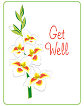 Orchid get well greeting card printable