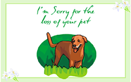 pet loss greeting card