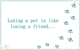 Free Printable Pet Sympathy  Greeting Cards Template