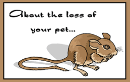 Free Printable Pet Rat Sympathy  Greeting Cards Template