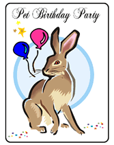bunny rabbit birthday party  invitations