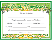 free baby boy birth certificate