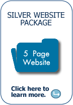 Silver Website Design Package