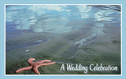 Free Starfish Wedding Invitation Template