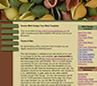 macaroni web template