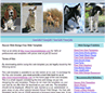 pets web template