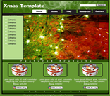 Christmas Web Template