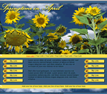 Sunflowers Web Template