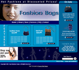 fashion clothing  handbags web template
