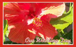 Free "Red Hibiscus" Wedding Invitation Template