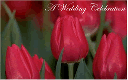 Free "Red Tulips" Wedding Invitation Template