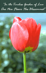 Free "Single Tulip" Wedding Invitation Template