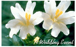 Free "White Floral" Wedding Invitation Template